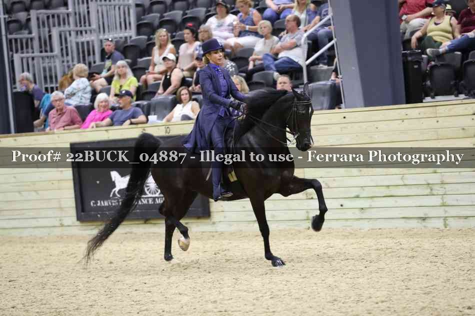 Proof 22BUCK_04887