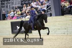 22BUCK_04887 proof