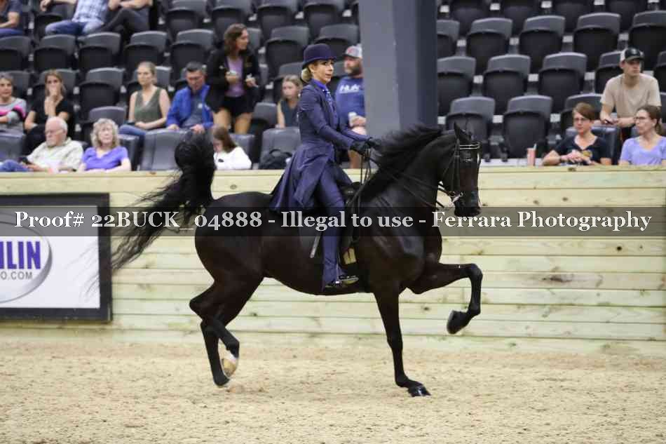 Proof 22BUCK_04888