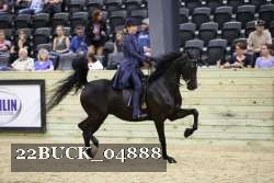 22BUCK_04888 proof
