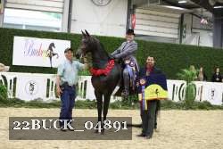 22BUCK_04891 proof