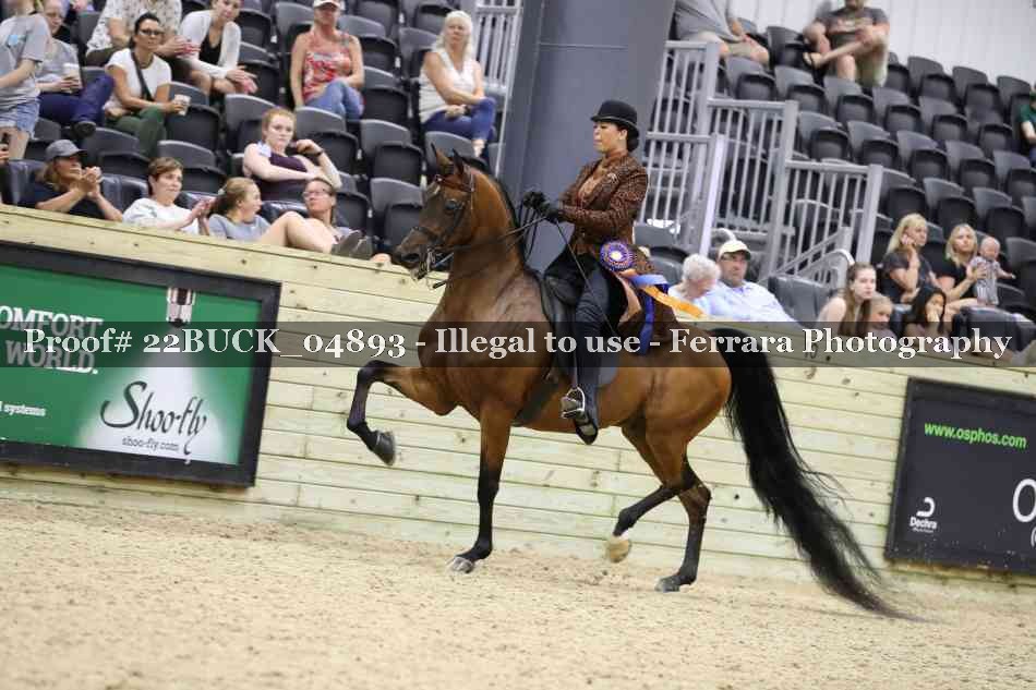 Proof 22BUCK_04893