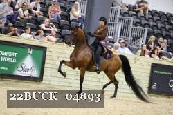 22BUCK_04893 proof