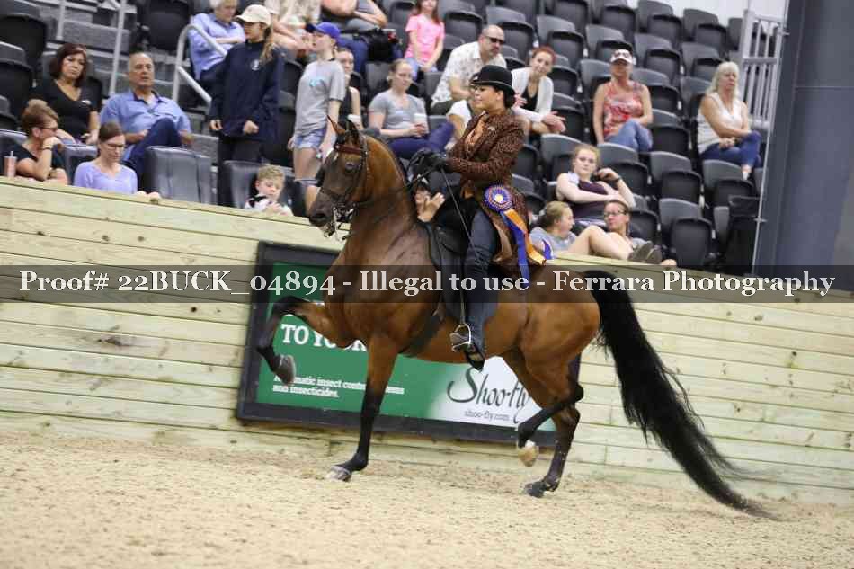 Proof 22BUCK_04894