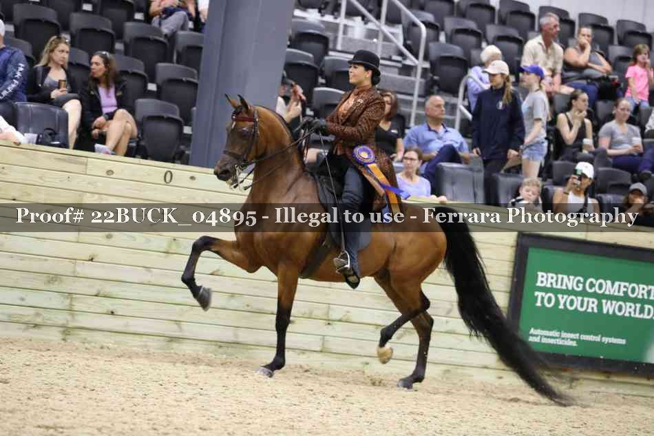 Proof 22BUCK_04895