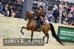 22BUCK_04895 proof