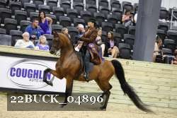 22BUCK_04896 proof