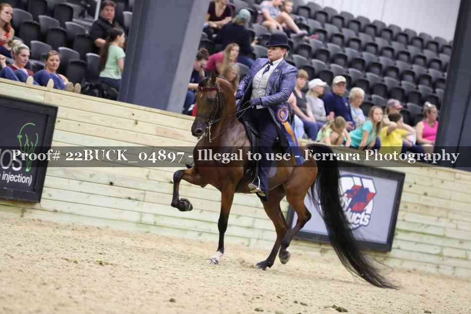Proof 22BUCK_04897