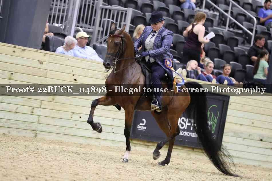 Proof 22BUCK_04898