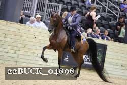22BUCK_04898 proof