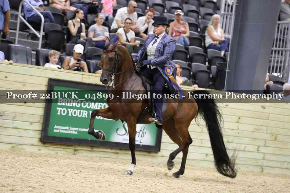 Proof 22BUCK_04899
