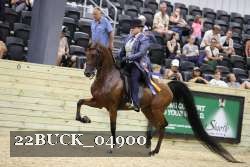 22BUCK_04900 proof