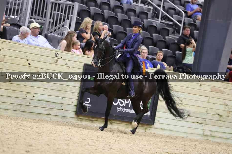 Proof 22BUCK_04901