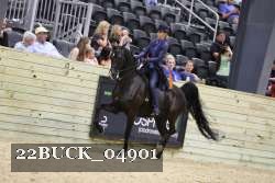 22BUCK_04901 proof