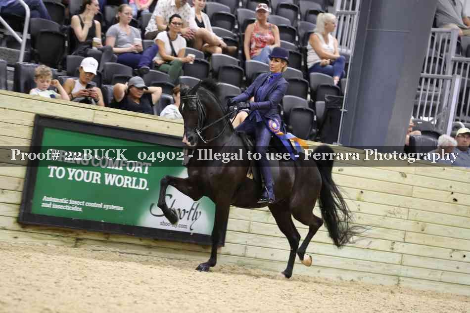 Proof 22BUCK_04902