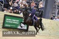 22BUCK_04902 proof