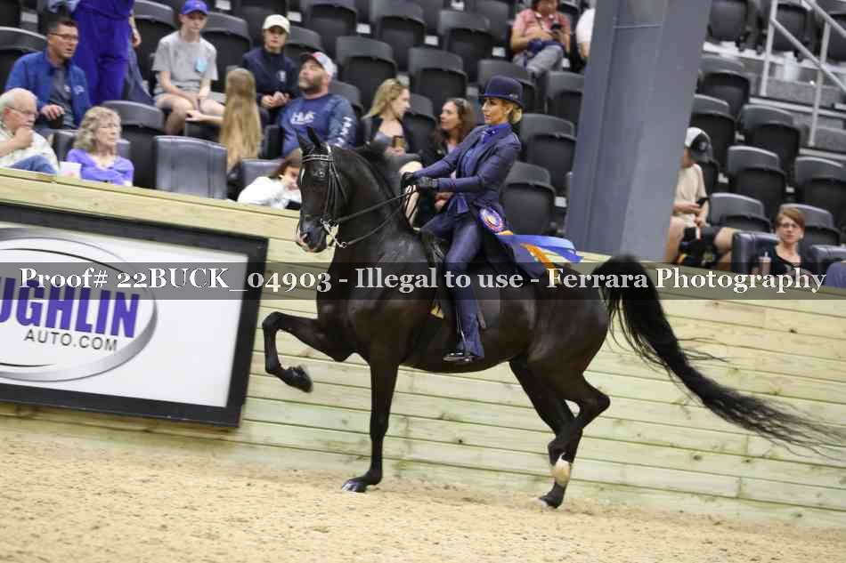 Proof 22BUCK_04903