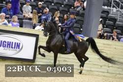 22BUCK_04903 proof