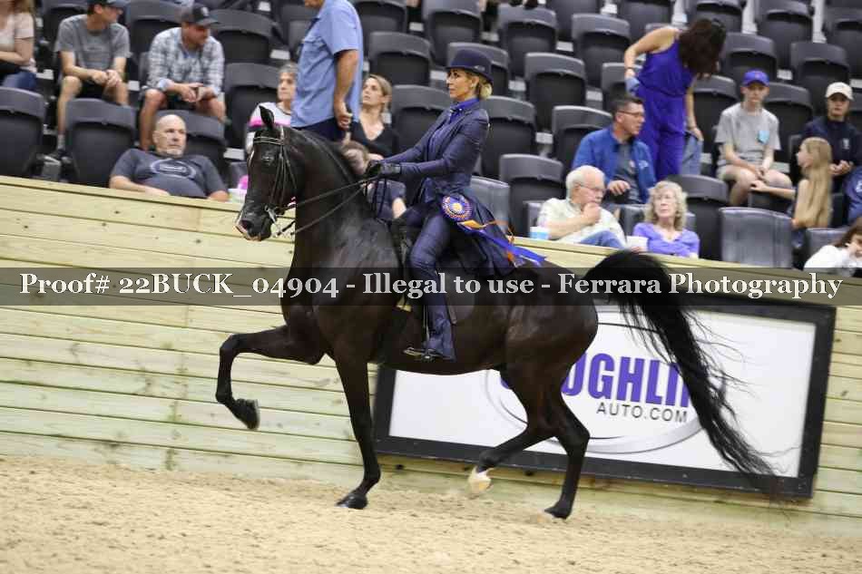 Proof 22BUCK_04904