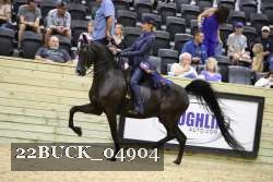 22BUCK_04904 proof