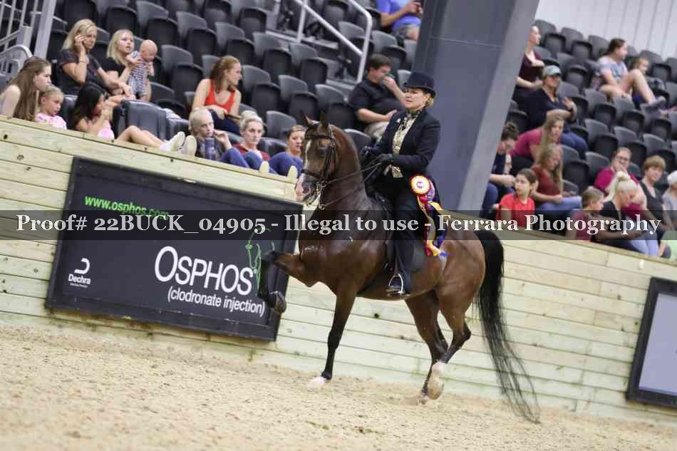 Proof 22BUCK_04905