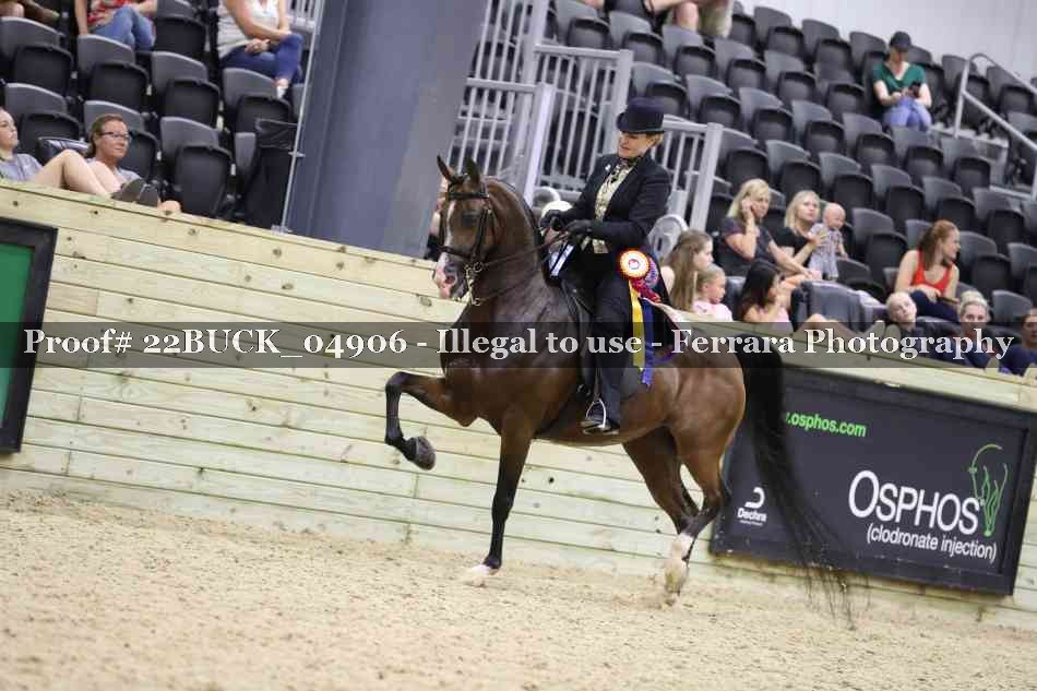 Proof 22BUCK_04906