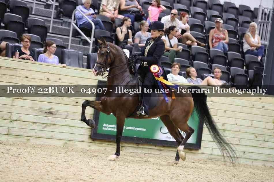 Proof 22BUCK_04907