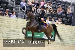 22BUCK_04907 proof