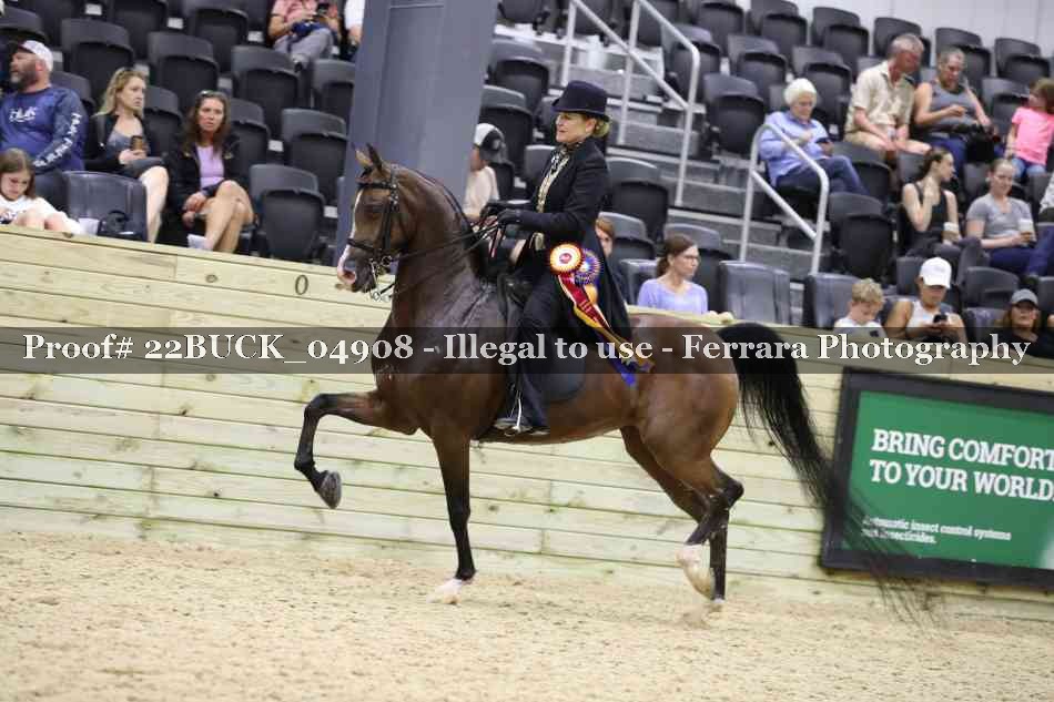 Proof 22BUCK_04908