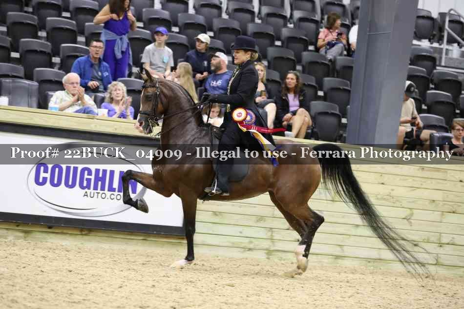 Proof 22BUCK_04909