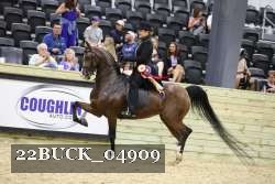 22BUCK_04909 proof