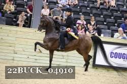22BUCK_04910 proof
