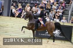 22BUCK_04911 proof