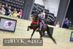 22BUCK_04912 proof
