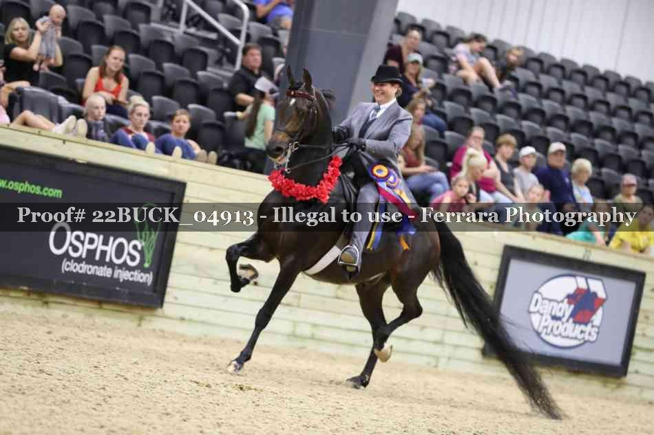 Proof 22BUCK_04913