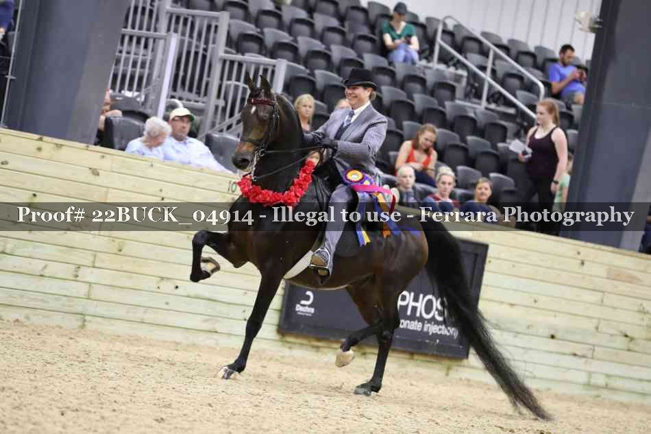 Proof 22BUCK_04914