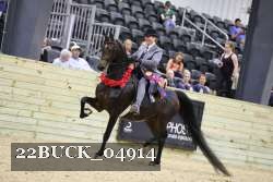 22BUCK_04914 proof