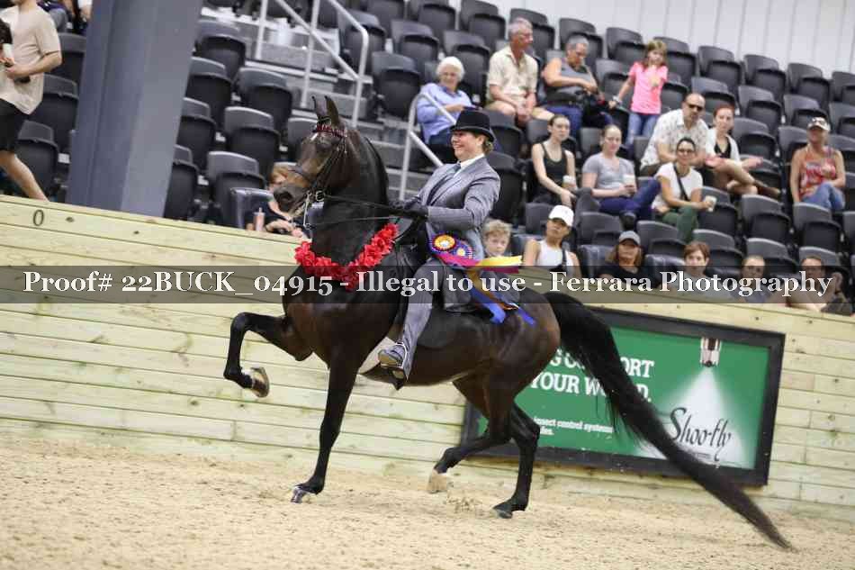 Proof 22BUCK_04915