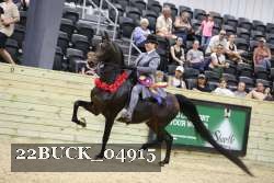 22BUCK_04915 proof