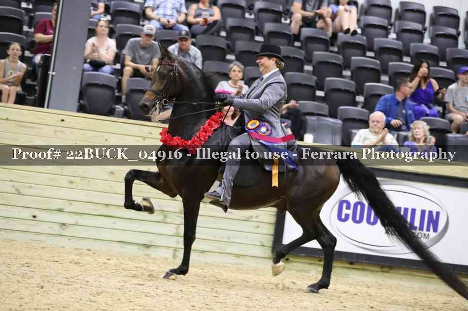 Proof 22BUCK_04916