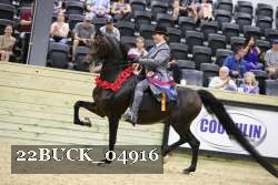 22BUCK_04916 proof