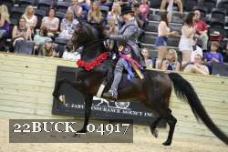 22BUCK_04917 proof