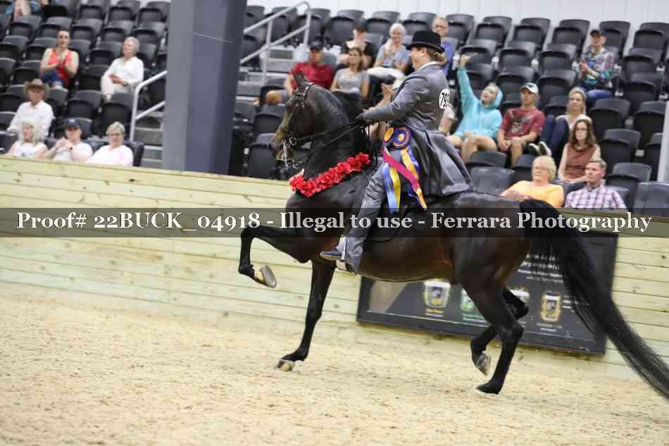 Proof 22BUCK_04918