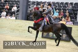 22BUCK_04918 proof
