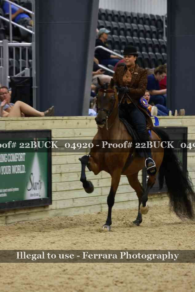 Proof 22BUCK_04920