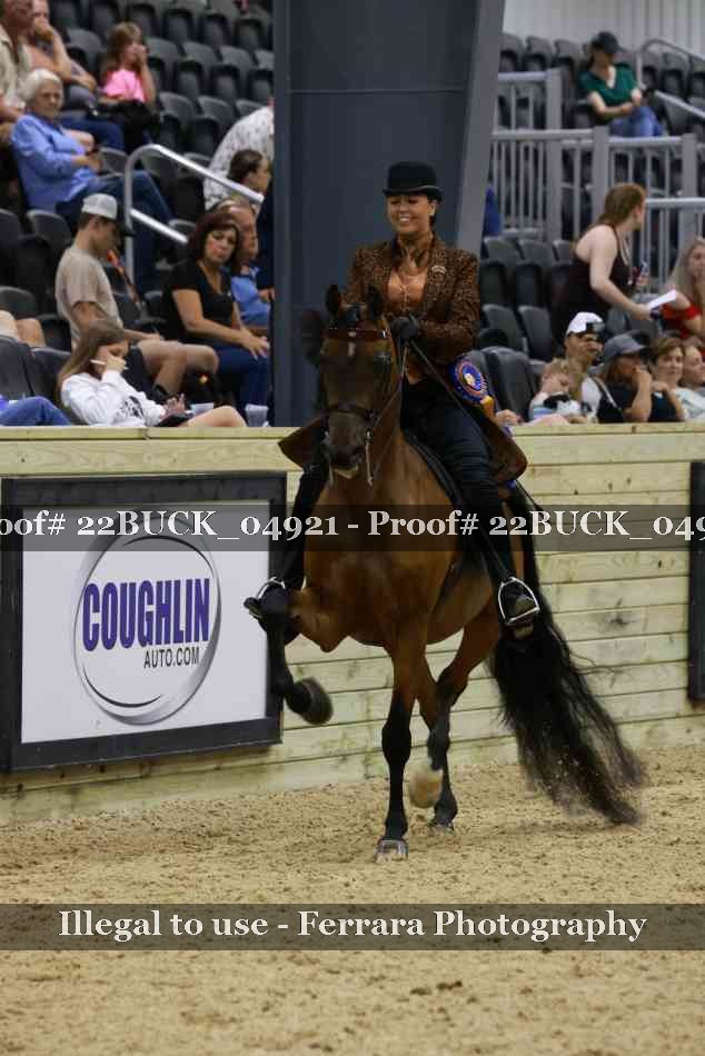 Proof 22BUCK_04921