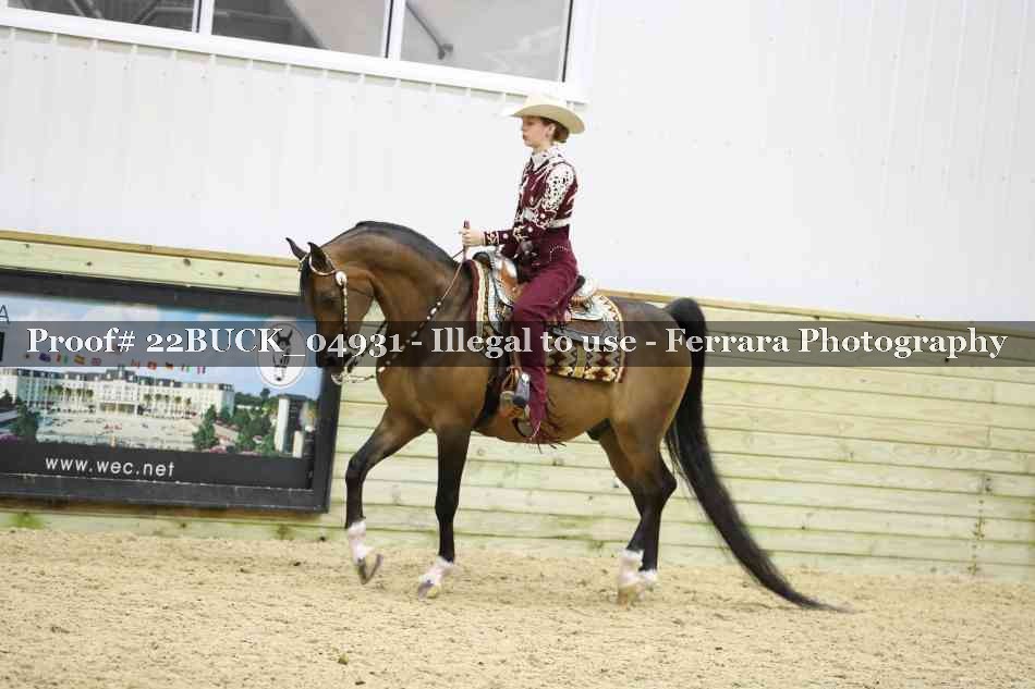 Proof 22BUCK_04931