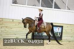 22BUCK_04932 proof