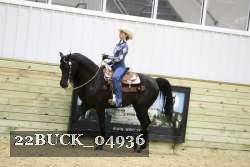 22BUCK_04936 proof