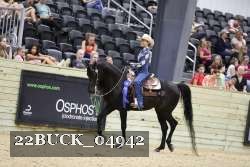22BUCK_04942 proof
